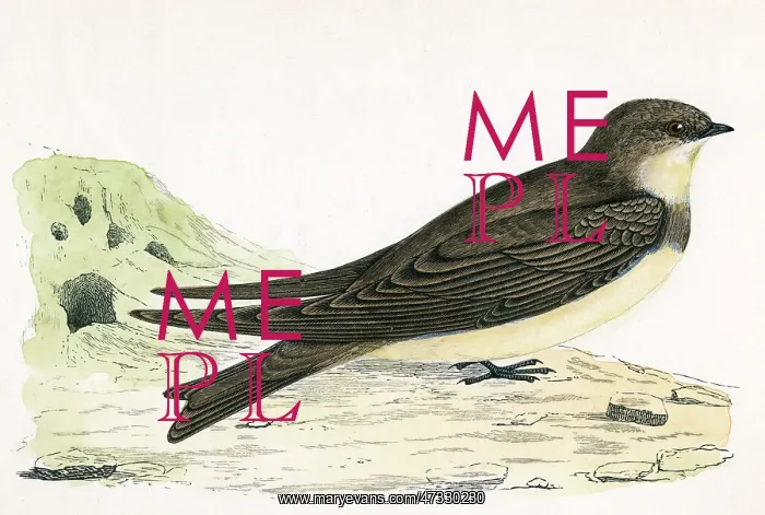 : SAND MARTIN : SAND MARTIN