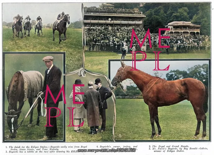  : At the Sandown races