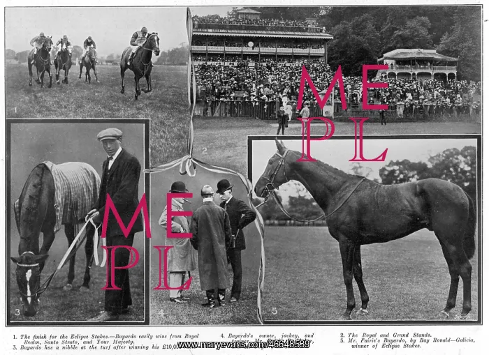: At the Sandown races : At the Sandown races