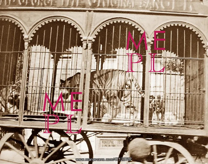  : Sangers Circus parade