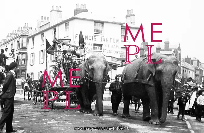  : Sanger's Circus parade, Bellevue, Southampton