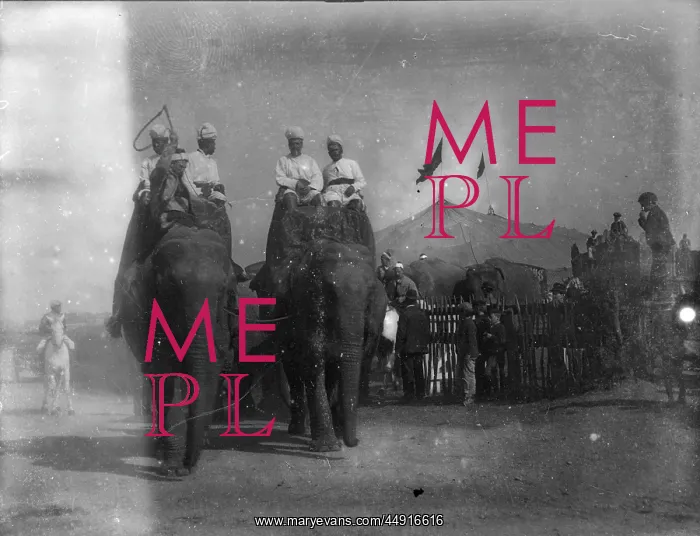 : Sangers Circus, Woolwich Road (neg damaged) : Sangers Circus, Woolwich Road (neg damaged)