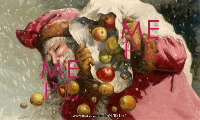  : Santa with Fruit
