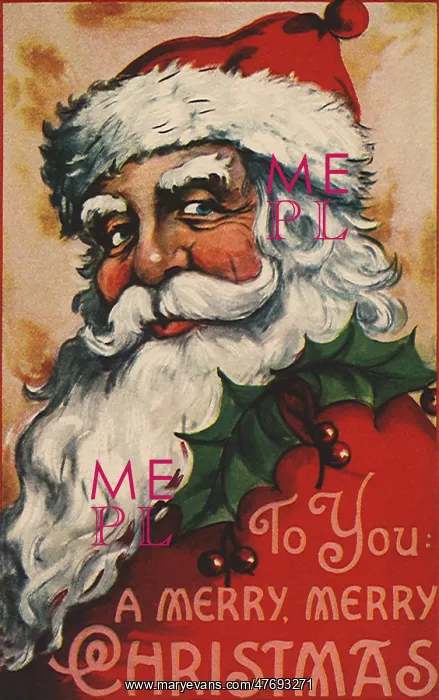  : Santa With Holly Decorating Shoulder