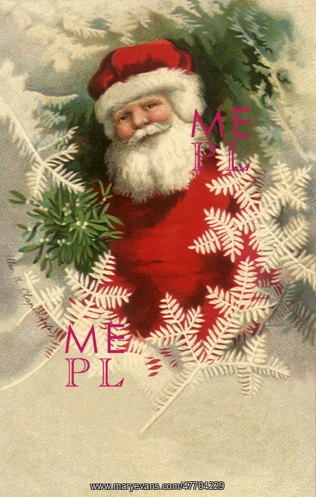  : Santa with Snow Branches
