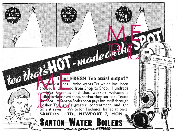 : Santon Water Boilers - Factory Boilers For Tea Making : Santon Water Boilers - Factory Boilers For Tea Making