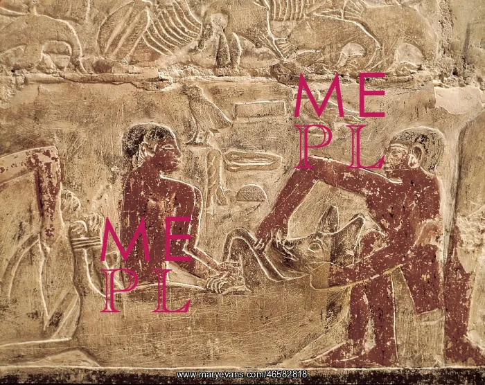 : Saqqara. Mastaba of Mereruka : Saqqara. Mastaba of Mereruka