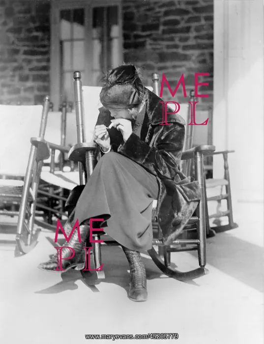 : Sarah Anderson, a Washington suffragist ? : Sarah Anderson, a Washington suffragist ?