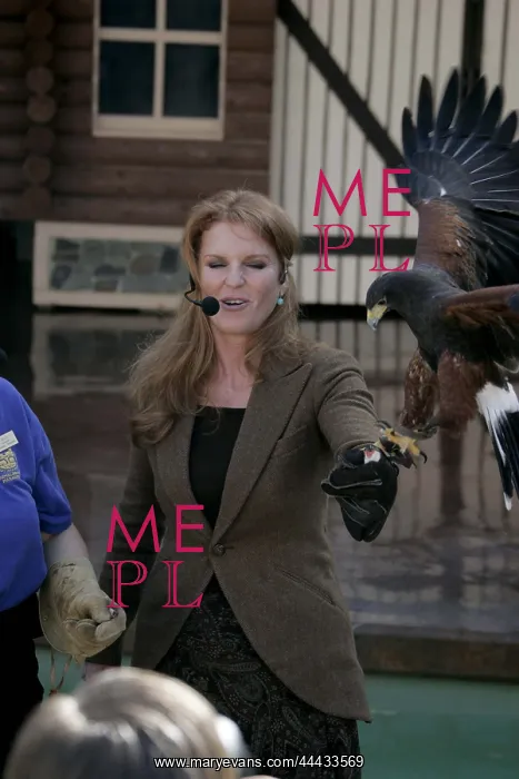 : Sarah Ferguson : Sarah Ferguson