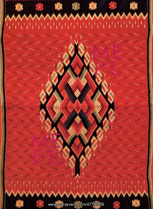  : Sarape Design