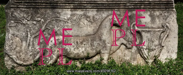 : Sarcophagus, Aphrodisias, Aydin, Turkey : Sarcophagus, Aphrodisias, Aydin, Turkey