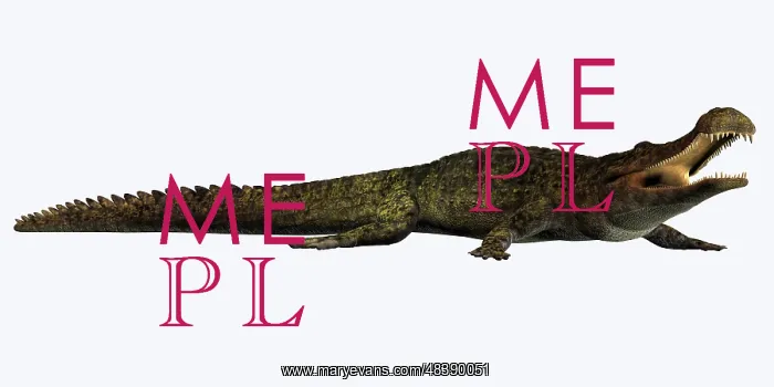 : Sarcosuchus crocodyliform from the prehistoric era : Sarcosuchus crocodyliform from the prehistoric era