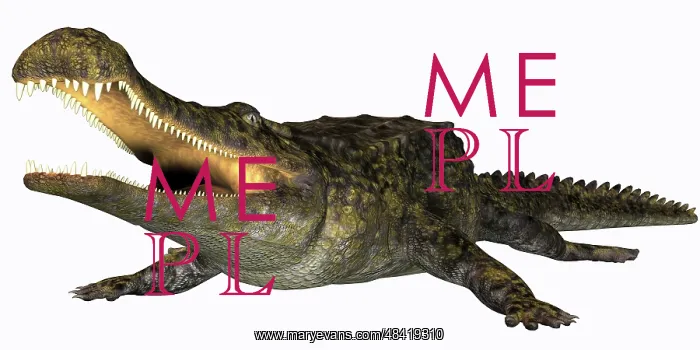 : Sarcosuchus crocodyliform from the prehistoric era : Sarcosuchus crocodyliform from the prehistoric era
