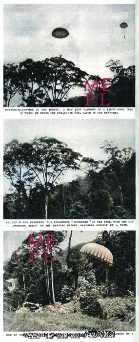: S.A.S. parachute practice in the jungle : S.A.S. parachute practice in the jungle