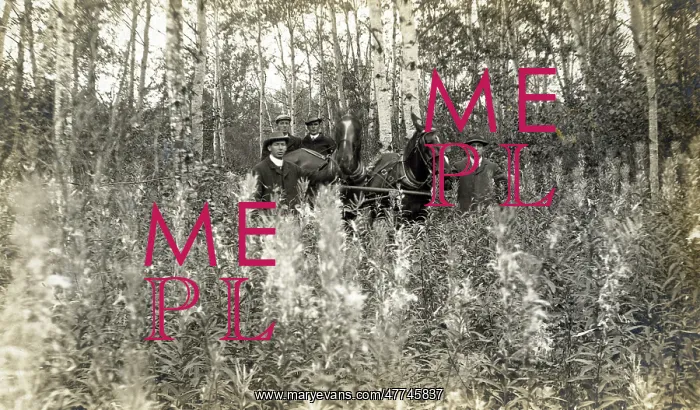 : Saskatchewan, Canada - four men with buggy : Saskatchewan, Canada - four men with buggy