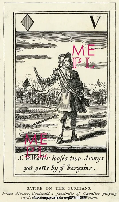 : SATINE ON PURITAN : SATINE ON PURITAN