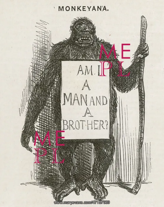 : Satire of Charles Darwin : Satire of Charles Darwin