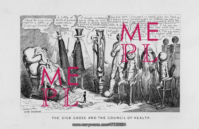 : SATIRE PATENT MEDICINES : SATIRE PATENT MEDICINES
