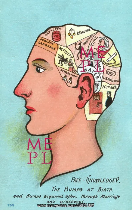 : Satire on Phrenology : Satire on Phrenology