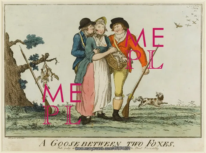 : Satirical cartoon, A Goose between two Foxes : Satirical cartoon, A Goose between two Foxes