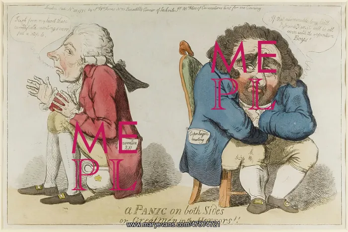 : Satirical cartoon, A Panic on both sides : Satirical cartoon, A Panic on both sides
