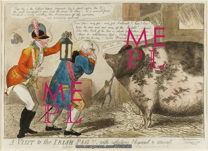 : Satirical cartoon, A Visit to the Irish Pig! : Satirical cartoon, A Visit to the Irish Pig!