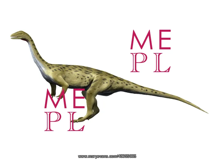 : Saturnalia is a prosauropod dinosaur from the Triassic ? : Saturnalia is a prosauropod dinosaur from the Triassic ?