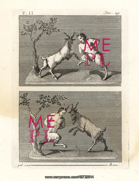  : Two satyrs butting heads with goats