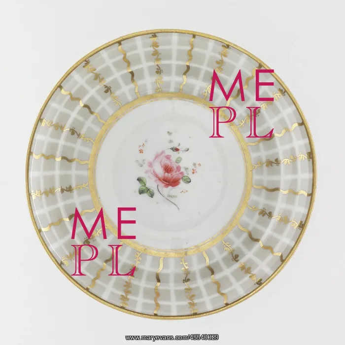 : Saucer from a tea service, made from porcelain with a white ground decorated : Saucer from a tea service, made from porcelain with a white ground decorated