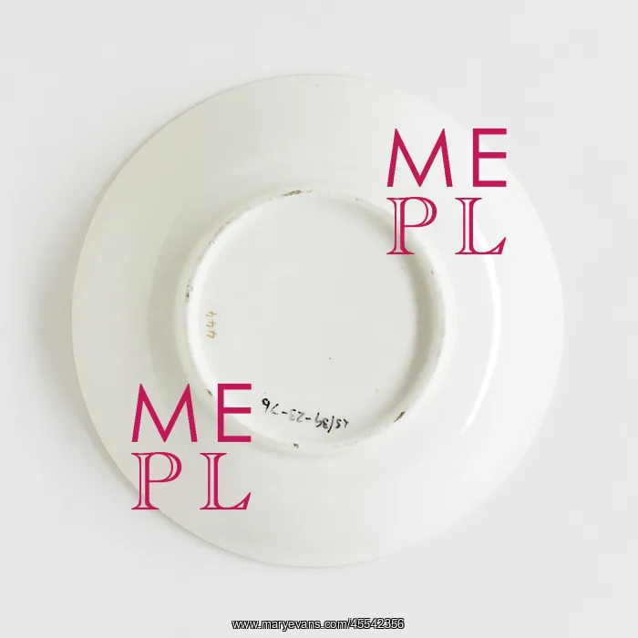 : Saucer, reverse : Saucer, reverse