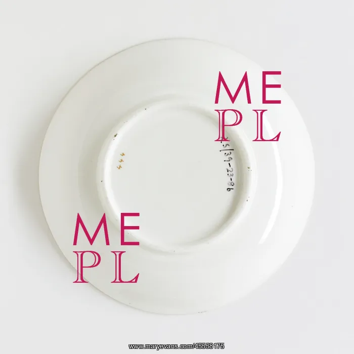 : Saucer, reverse : Saucer, reverse