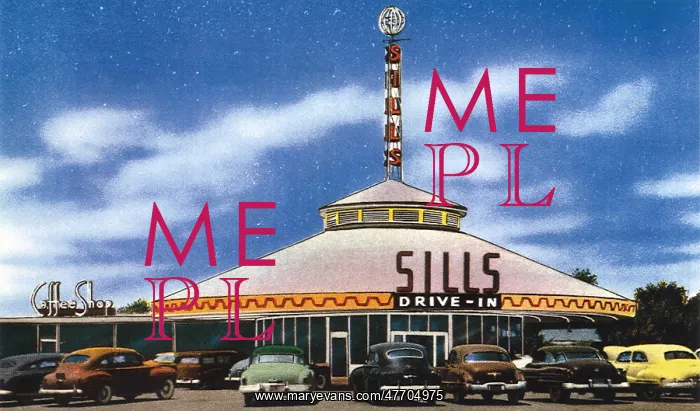 : Saucer-Shaped Drive-In : Saucer-Shaped Drive-In