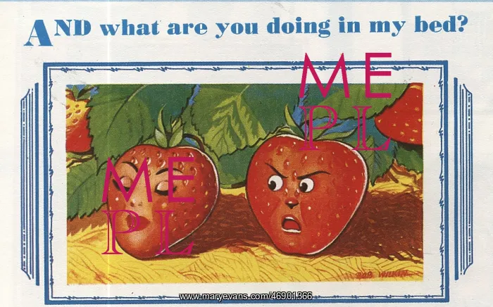: Saucy postcard - AND what are you doing in my bed?, by Bob : Saucy postcard - AND what are you doing in my bed?, by Bob