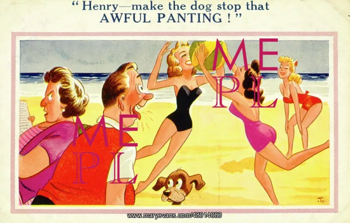 : Saucy seaside postcard : Saucy seaside postcard