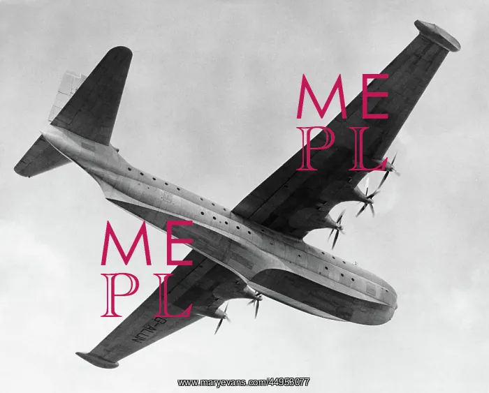: Saunders Roe SR-45 Princess Flying Boat : Saunders Roe SR-45 Princess Flying Boat