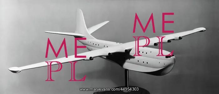 : Saunders Roe SR-45 Princess Flying Boat : Saunders Roe SR-45 Princess Flying Boat