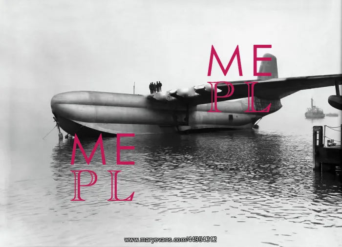 : Saunders Roe SR-45 Princess Flying Boat : Saunders Roe SR-45 Princess Flying Boat