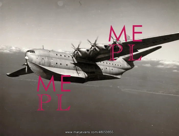  : Saunders-Roe SR45 Princess G-ALUN in the air