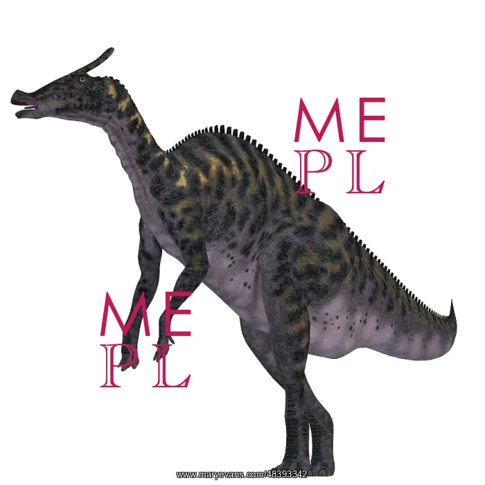 : Saurolophus dinosaur on white background : Saurolophus dinosaur on white background