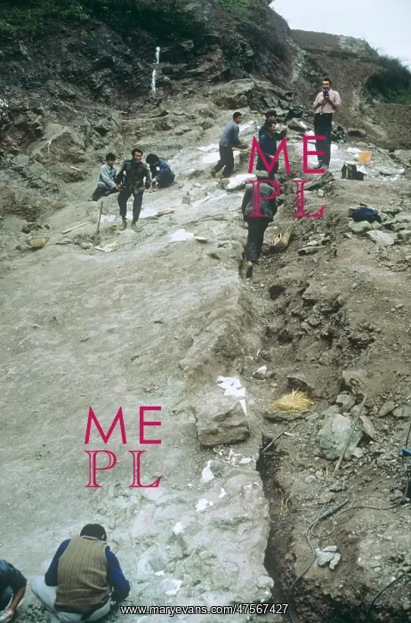 : Sauropod excavation, 1982 : Sauropod excavation, 1982