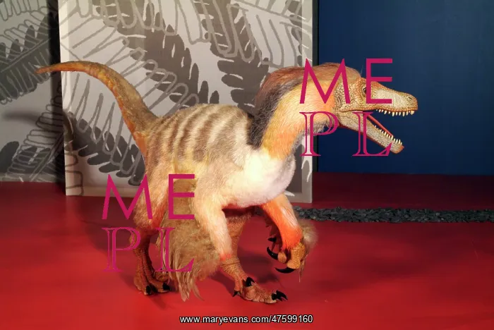 : Saurornitholestes : Saurornitholestes