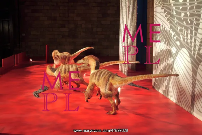 : Saurornitholestes : Saurornitholestes