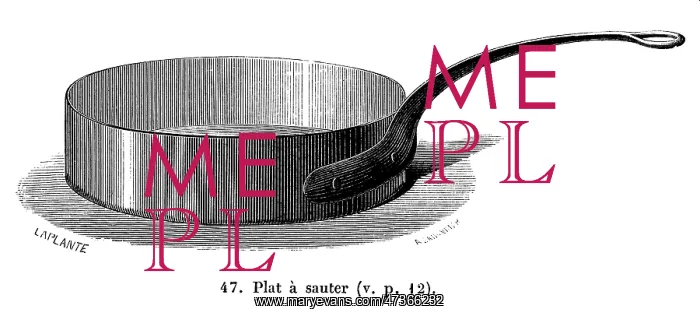 : SAUTE PAN. A high-sided frying pan made for sauteing potatoes or anything : SAUTE PAN. A high-sided frying pan made for sauteing potatoes or anything