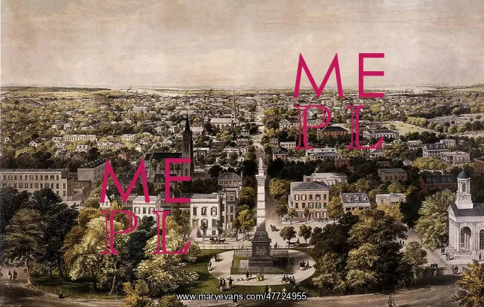 : Savannah, Georgia 1855 : Savannah, Georgia 1855