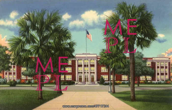 : Savannah High School. Savannah : Savannah High School. Savannah