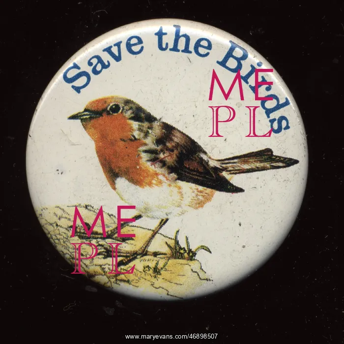 : Save the Birds pin badge : Save the Birds pin badge