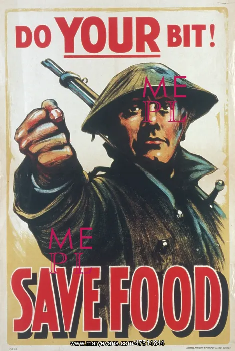 : SAVE FOOD POSTER / WWI : SAVE FOOD POSTER / WWI