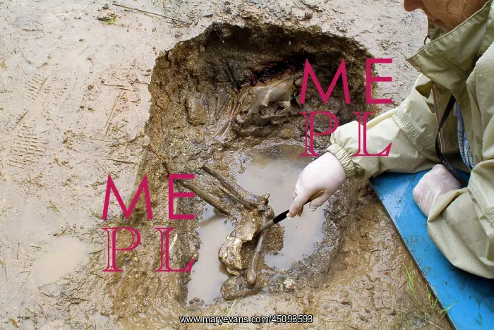 : Saveock Water : Saveock Water