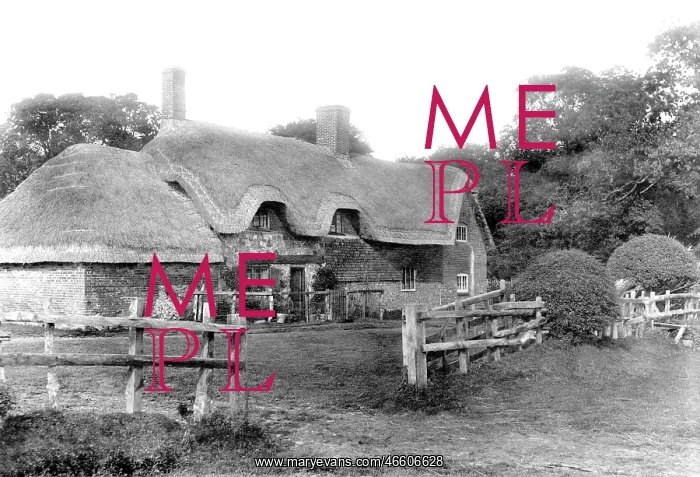  : Savernake, Brown's Farm 1908