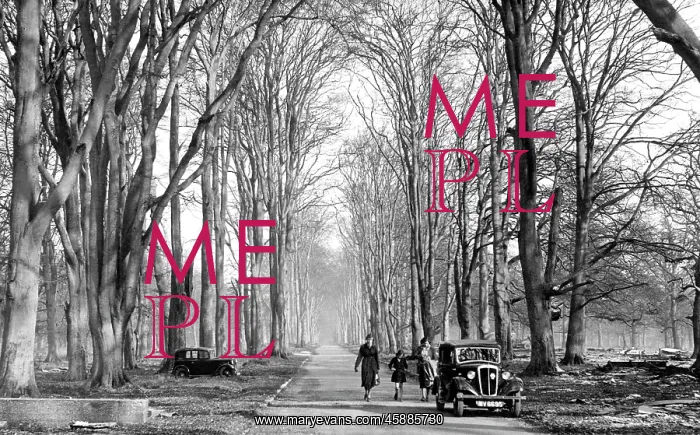 : Savernake, Forest, Grand Avenue c1955